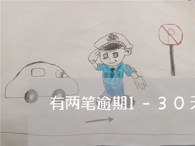 有两笔逾期1-30天的有影响吗