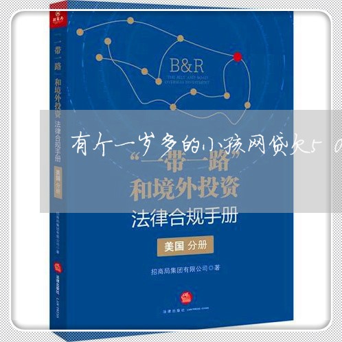 有个一岁多的小孩网贷欠50万 有个一岁多的小孩网贷欠50万
