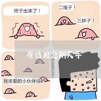 有信用逾期买车