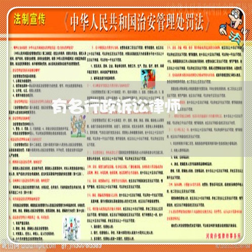 有名行政诉讼律师