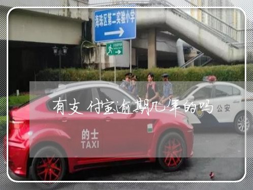 有支付宝逾期几年的吗