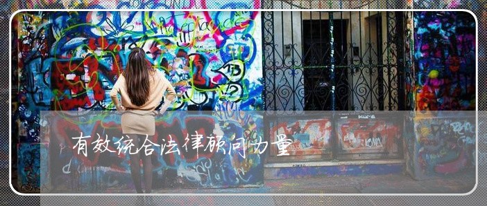 有效统合法律顾问力量 有效统合法律顾问力量