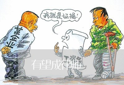 有望成律师