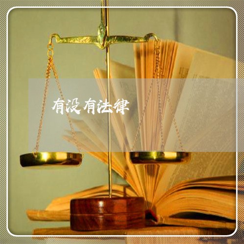 有没有法律
