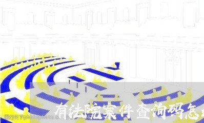 有法院案件查询码怎么查询系统