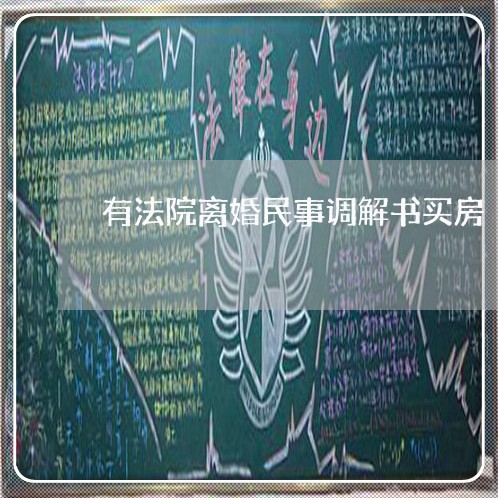 有法院离婚民事调解书买房