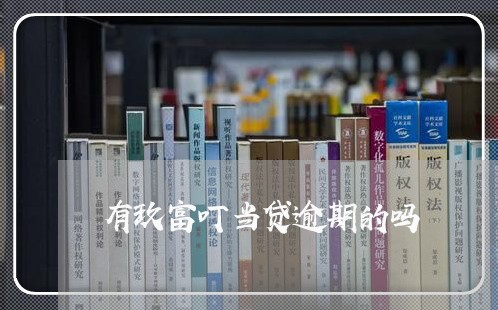 有玖富叮当贷逾期的吗