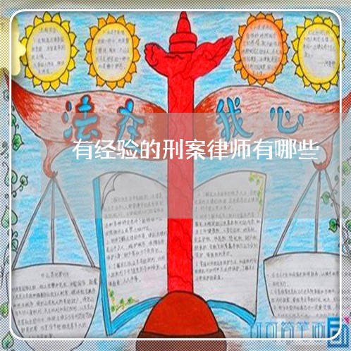 有经验的刑案律师有哪些