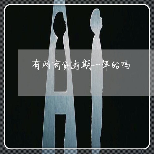 有网商贷逾期一年的吗/2023022806149
