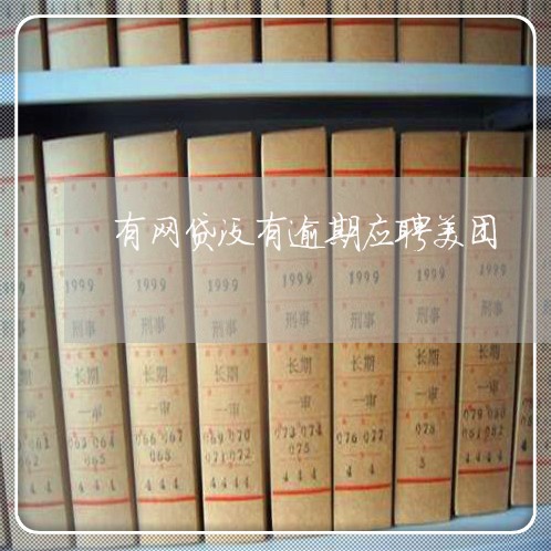 有网贷没有逾期应聘美团