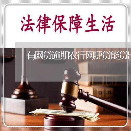 有网贷逾期农行网捷贷能贷出来吗/2023112442704