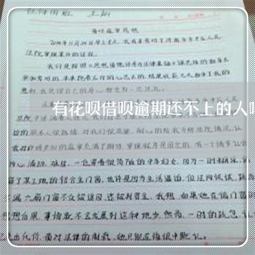 有花呗借呗逾期还不上的人吗