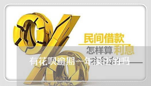 有花呗逾期一年没还的吗