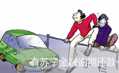 有苏宁金融逾期还款一天