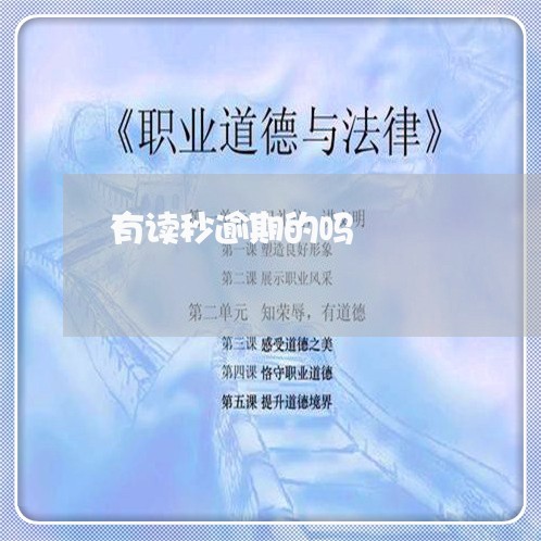 有读秒逾期的吗