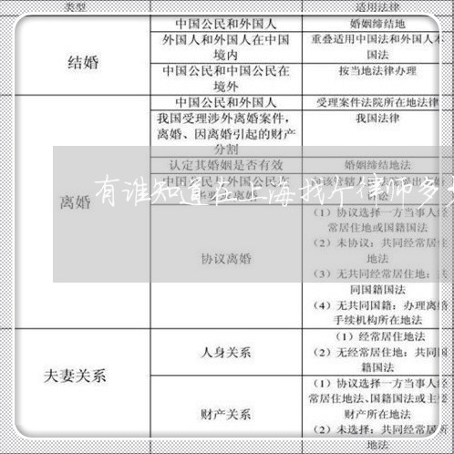 有谁知道在上海找个律师多少钱/2023041592824