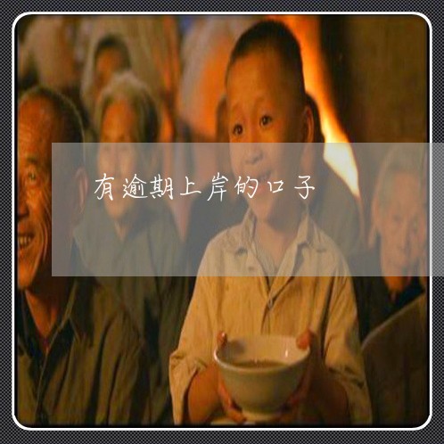有逾期上岸的口子