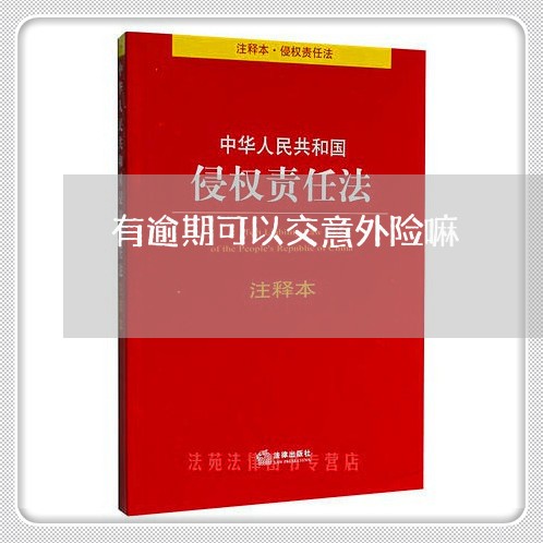 有逾期可以交意外险嘛 有逾期可以交意外险嘛