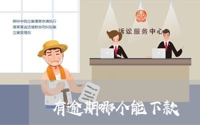 有逾期哪个能下款
