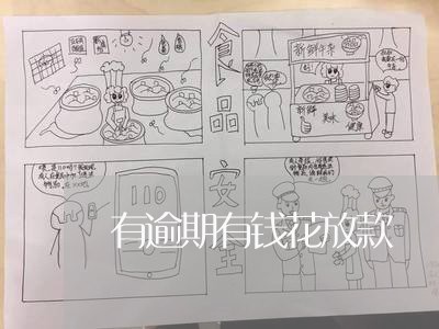 有逾期有钱花放款 有逾期有钱花放款