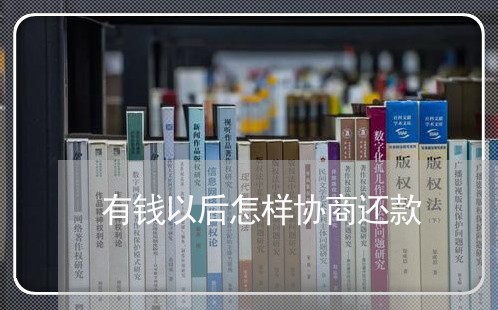 有钱以后怎样协商还款/2023110793706