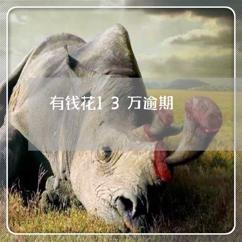有钱花13万逾期