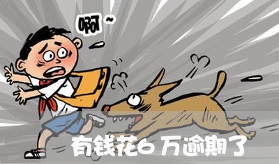 有钱花6万逾期了