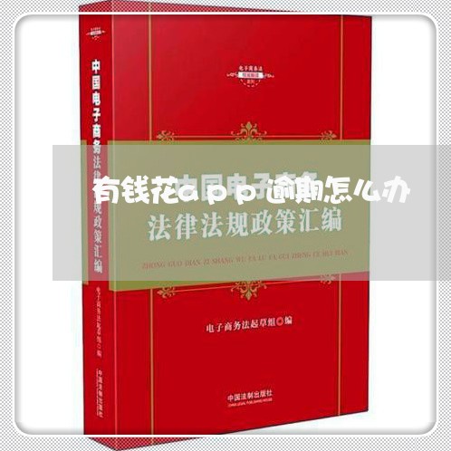 有钱花app逾期怎么办