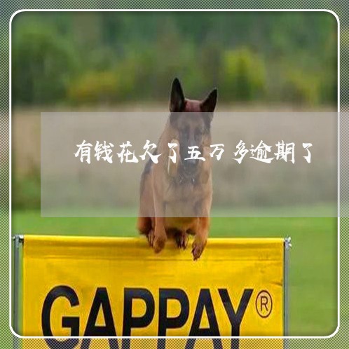 有钱花欠了五万多逾期了 有钱花欠了五万多逾期了