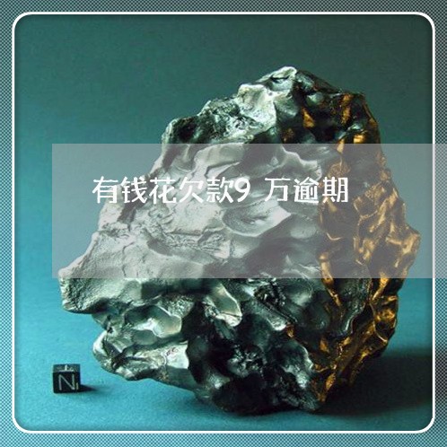 有钱花欠款9万逾期