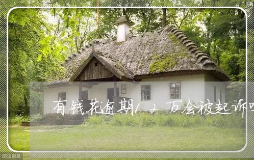 有钱花逾期12万会被起诉吗案例 有钱花逾期12万会被起诉吗案例