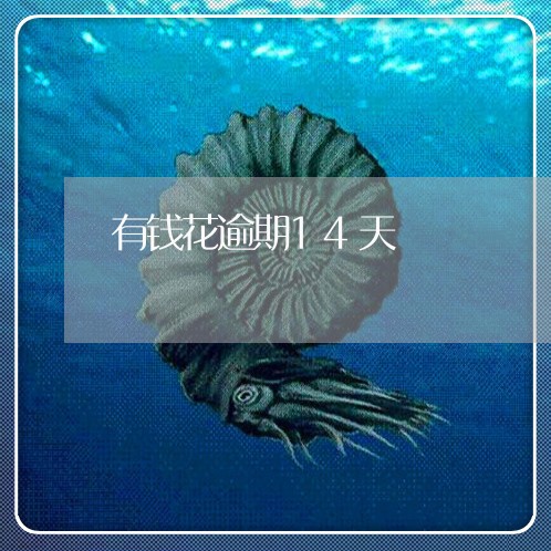 有钱花逾期14天
