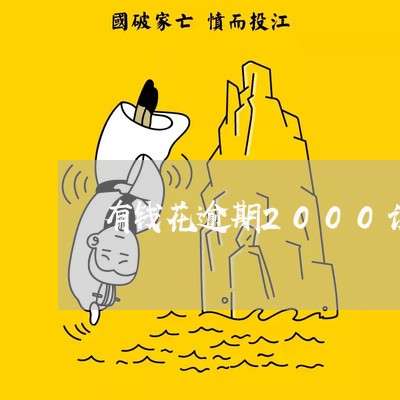 有钱花逾期2000说律师上门/2023032449192