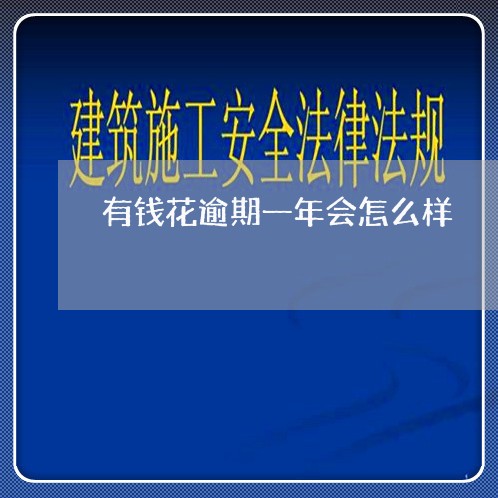 有钱花逾期一年会怎么样/2023022696529