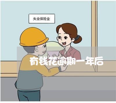 有钱花逾期一年后 有钱花逾期一年后