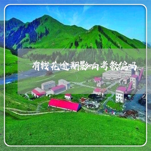有钱花逾期影响考教编吗