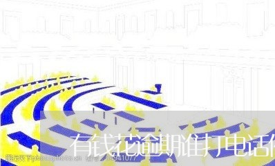 有钱花逾期谁打电话催收/2023061917059