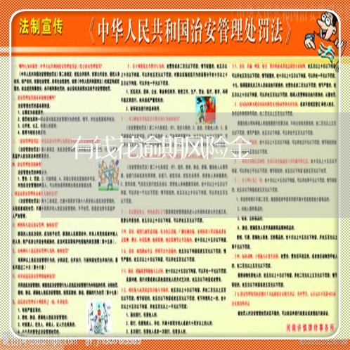 有钱花逾期风险金