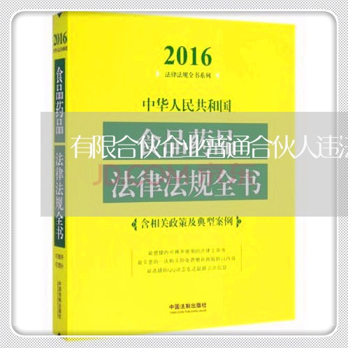有限合伙企业普通合伙人违法 有限合伙企业普通合伙人违法
