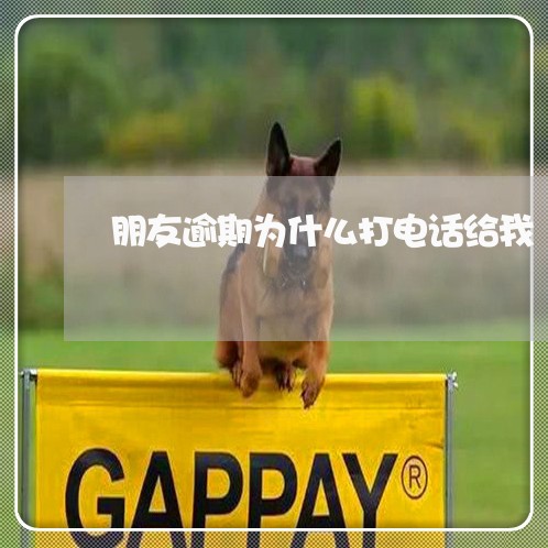 朋友逾期为什么打电话给我
