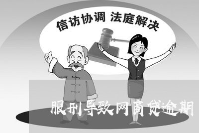 服刑导致网商贷逾期/2023020841982