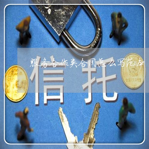 服务合作类合同怎么写范本/2023022771724