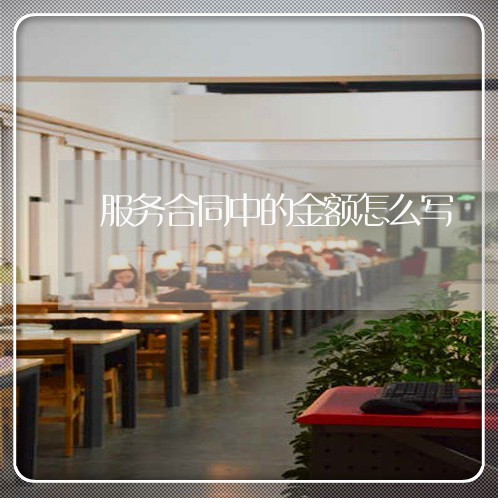 服务合同中的金额怎么写/2023011682725