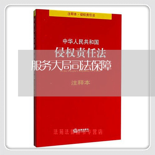 服务大局司法保障 服务大局司法保障