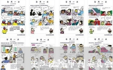 望江法院审判委员会
