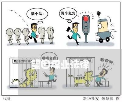 望田煤业法律 望田煤业法律