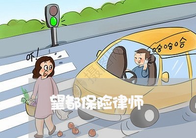 望都保险律师