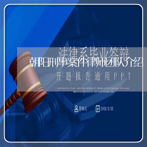 朝阳刑事案件律师团队介绍/2023060202827