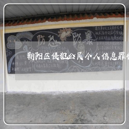 朝阳区侵犯公民个人信息罪律师 朝阳区侵犯公民个人信息罪律师