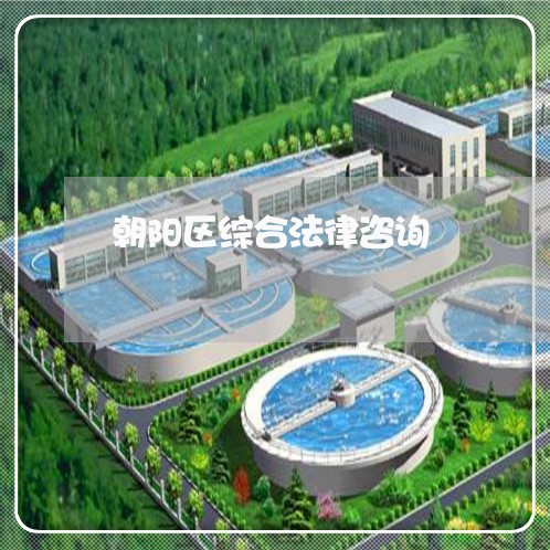 朝阳区综合法律咨询 朝阳区综合法律咨询